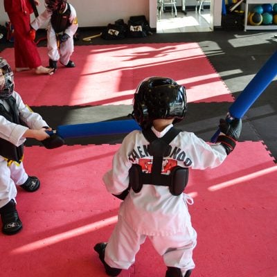 Tiny Tigers - Combat Weapons